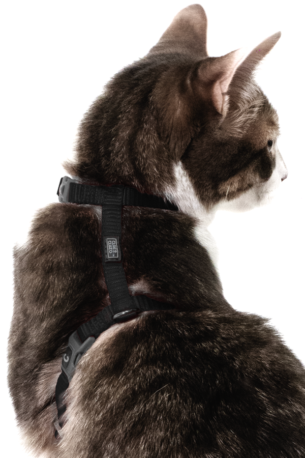 Adjustable Cat Harness
