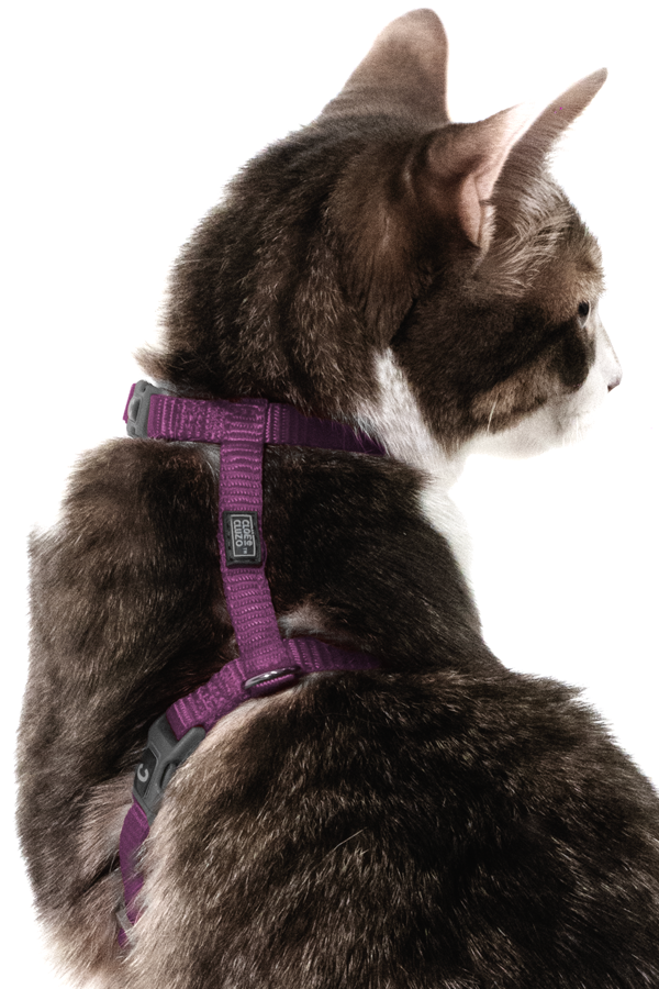 Adjustable Cat Harness