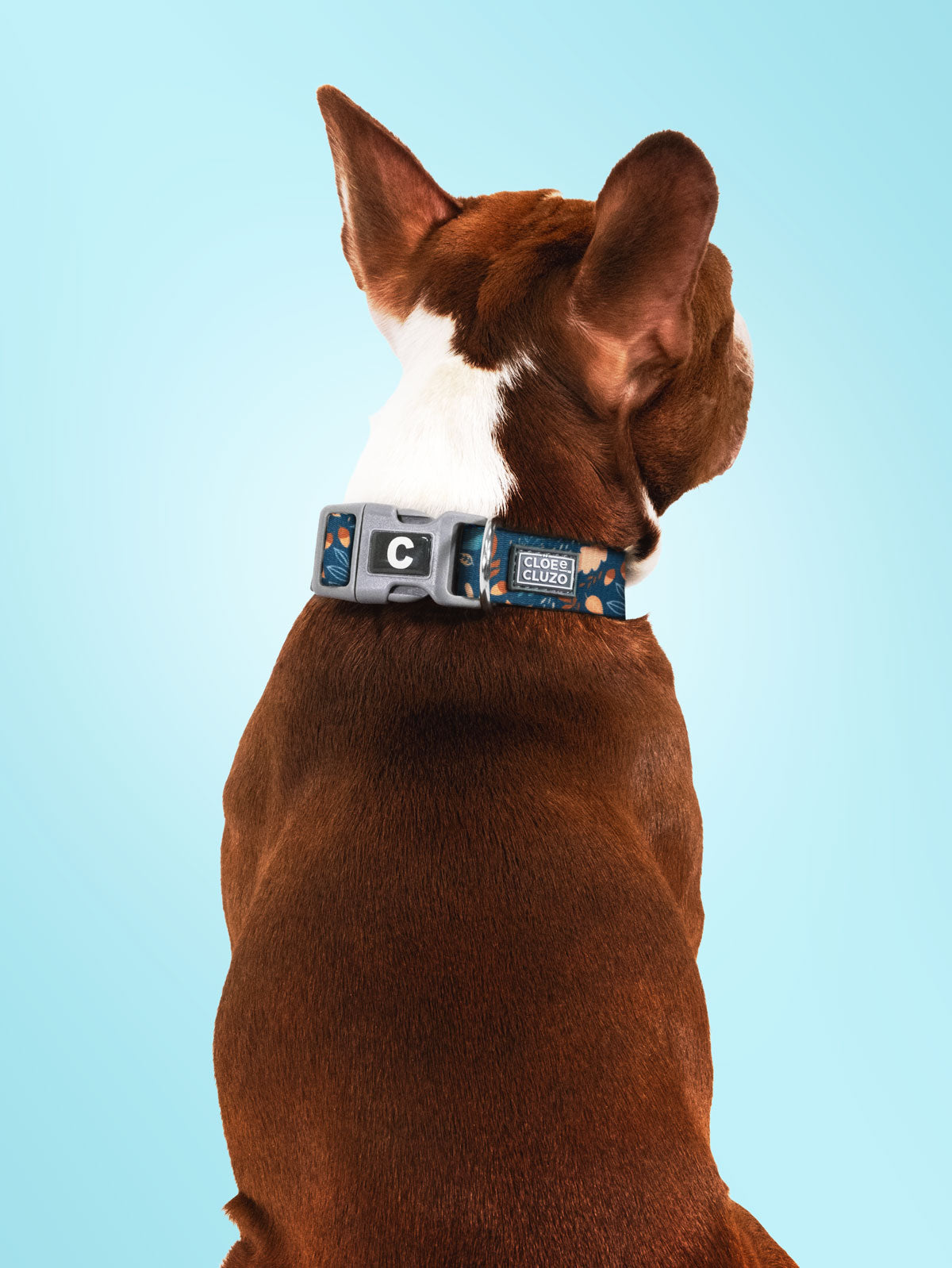 Adjustable Printed Dog Collar
