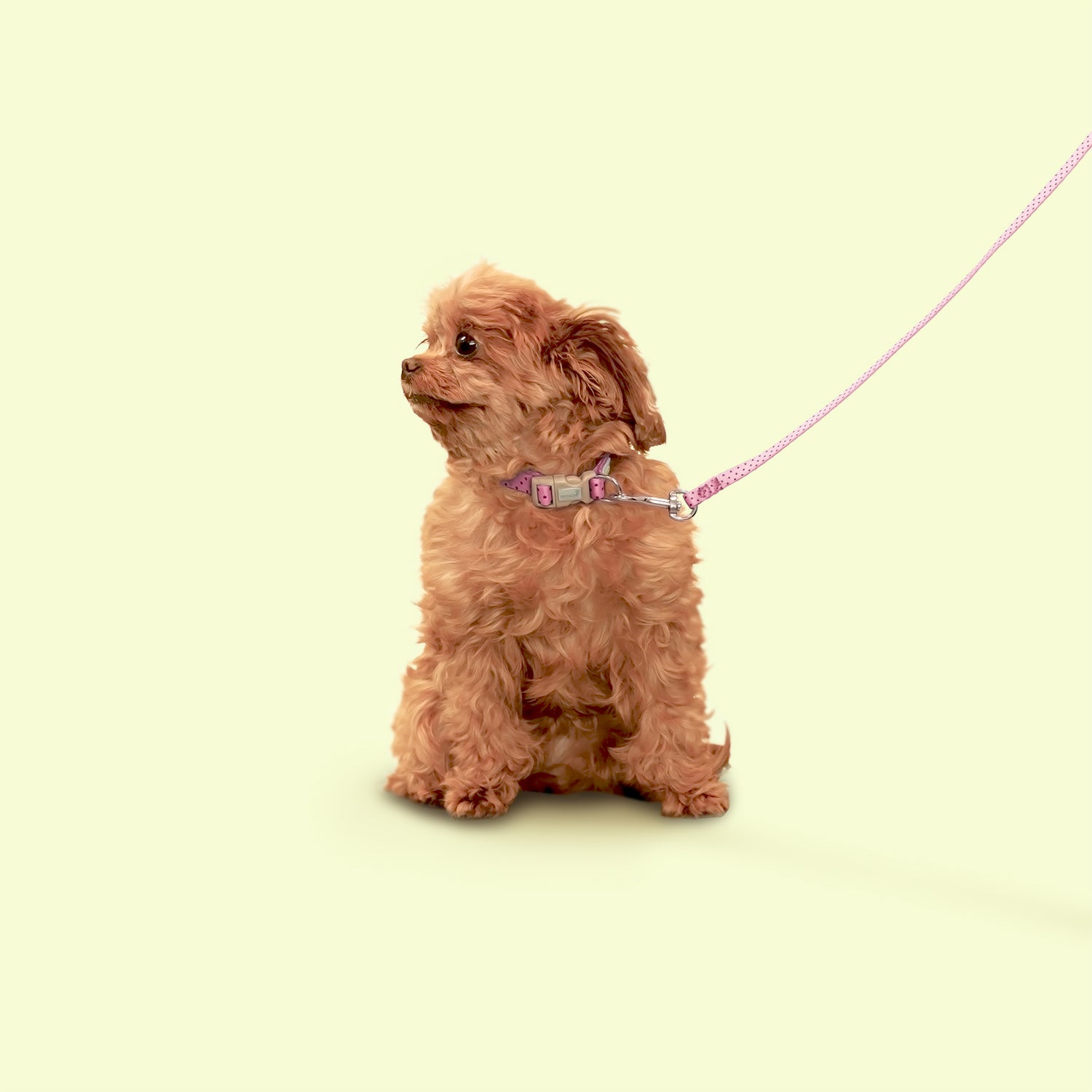 Petite Pistache Collar for Tiny Dogs