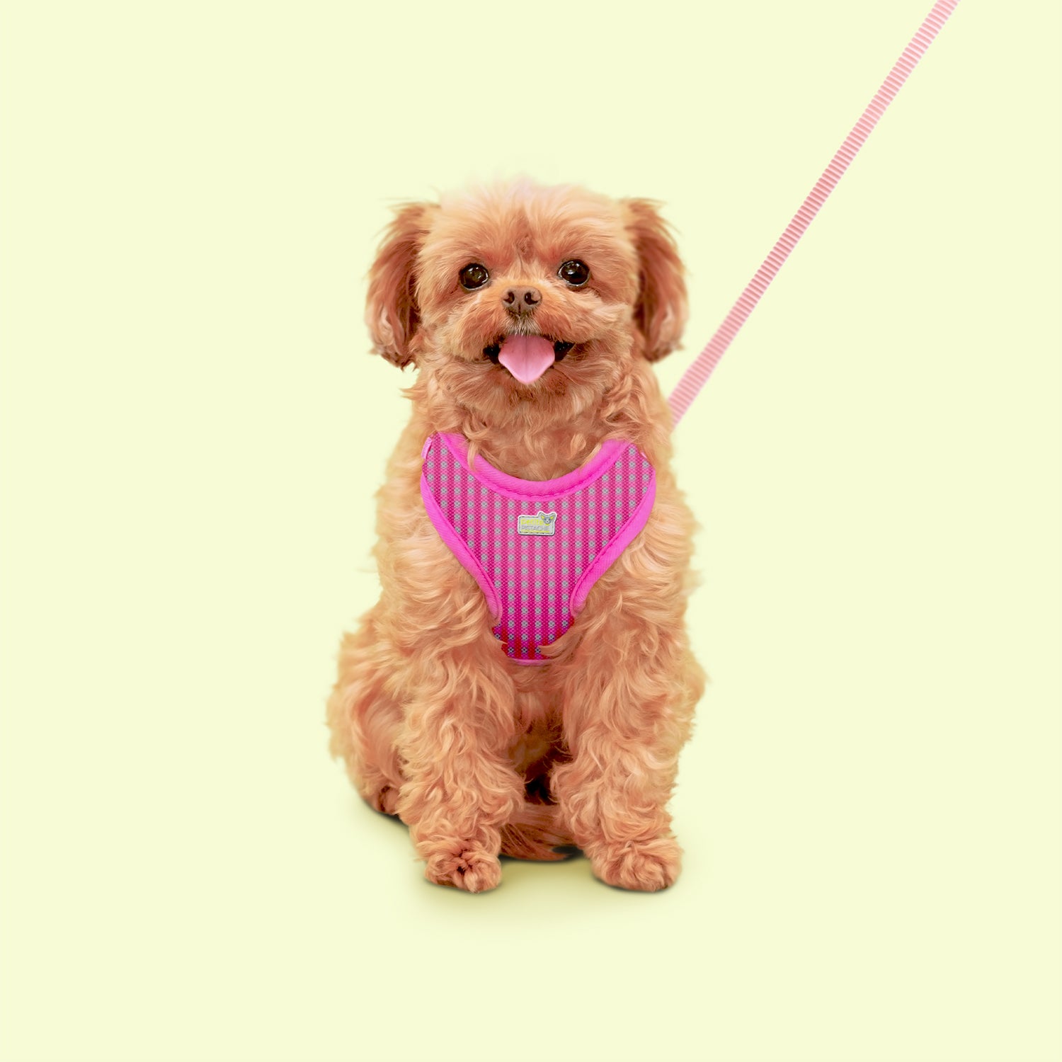 Harnais réglable Petite Pistache pour très petits chiens, Plaid