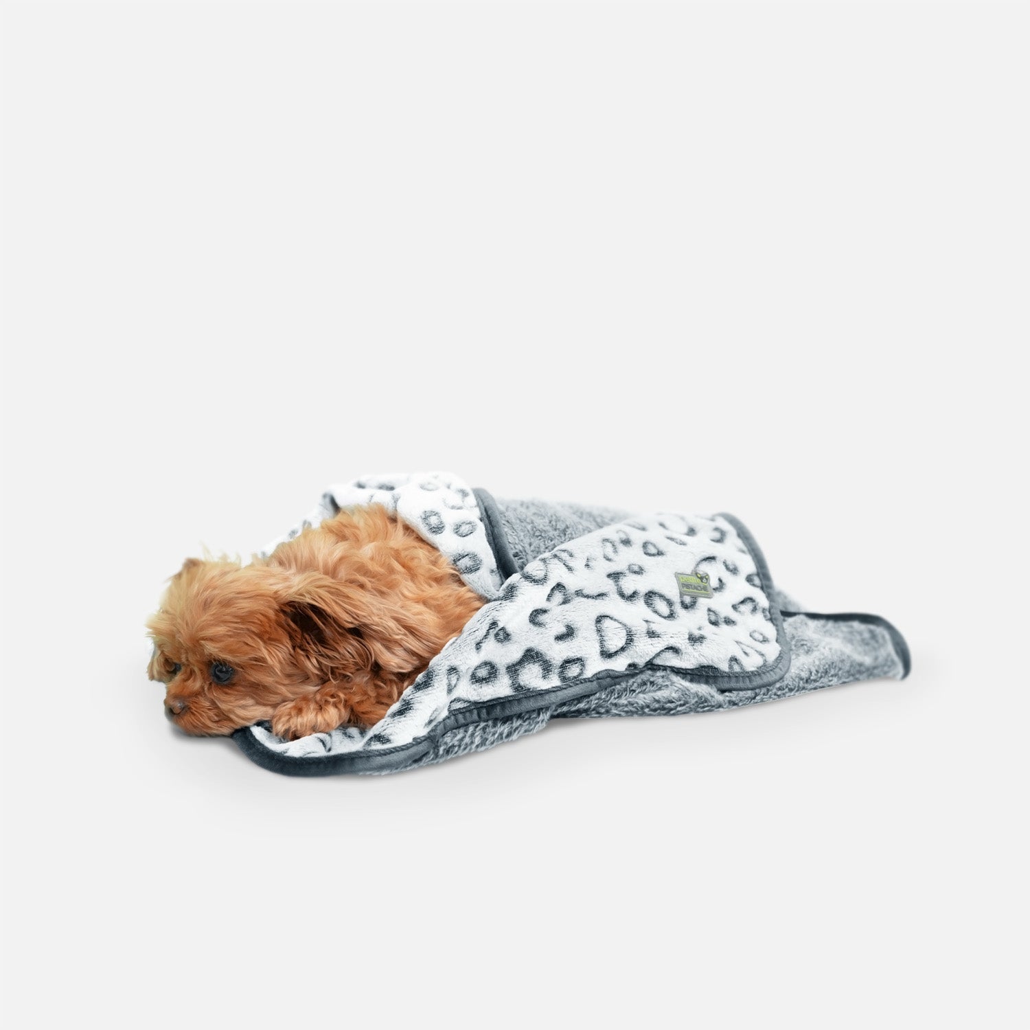 Couverture en peluche pour animaux de compagnie Petite Pistache
