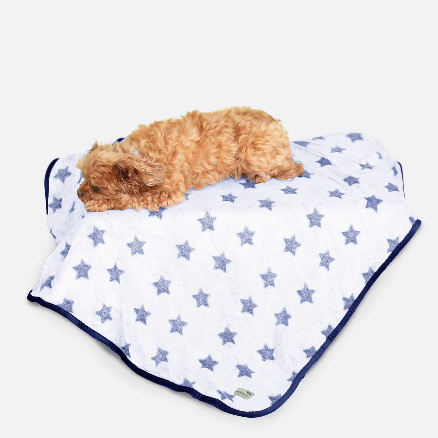 Couverture en peluche pour animaux de compagnie Petite Pistache