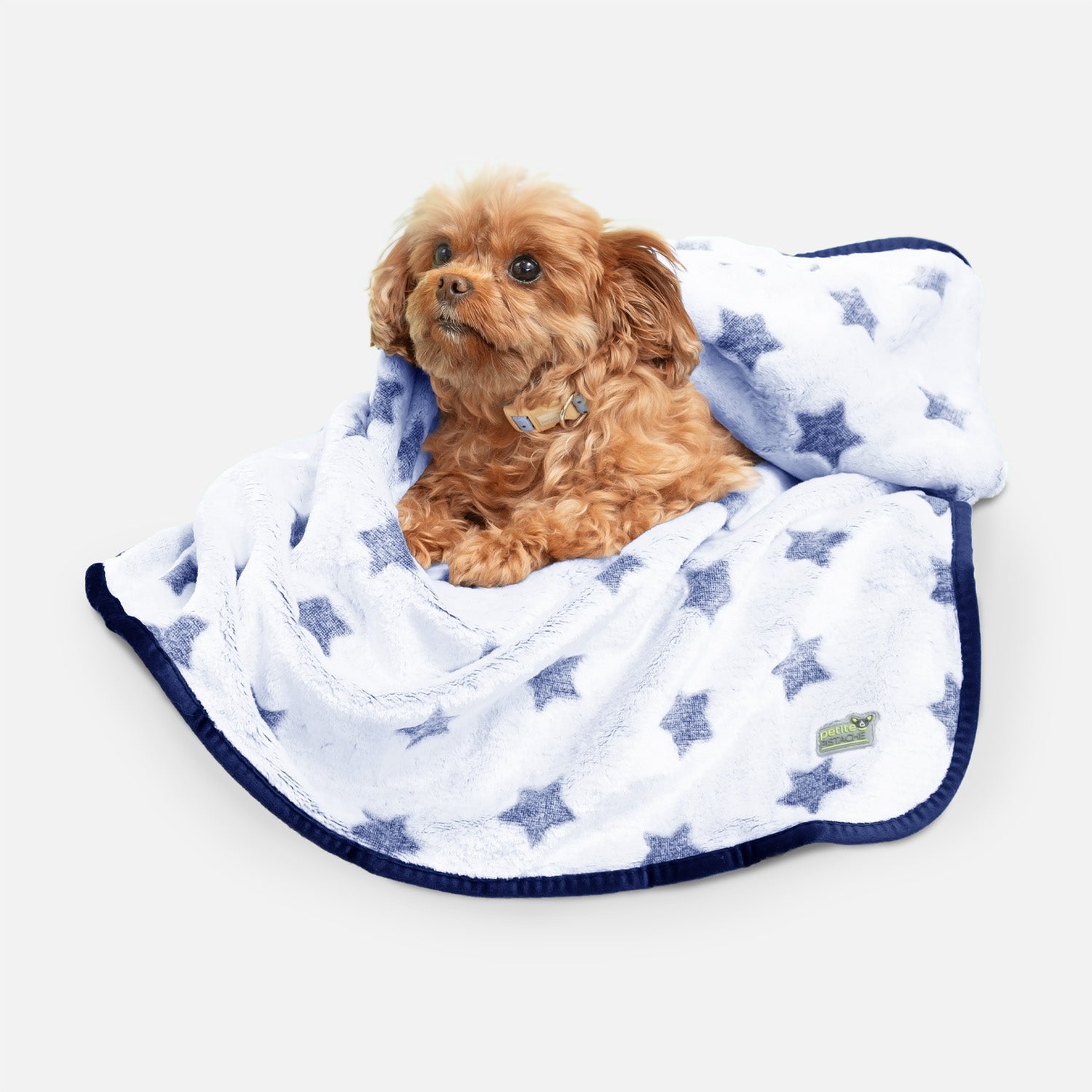 Couverture en peluche pour animaux de compagnie Petite Pistache