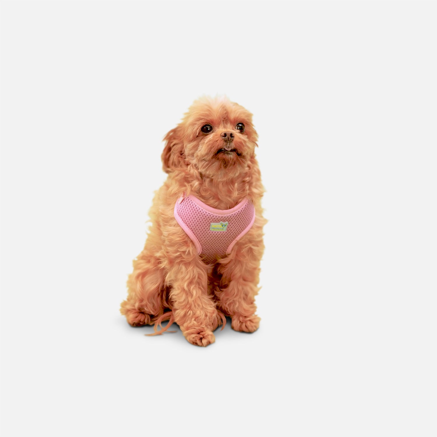 Petite Pistache Mesh Harness for Very Small Dogs