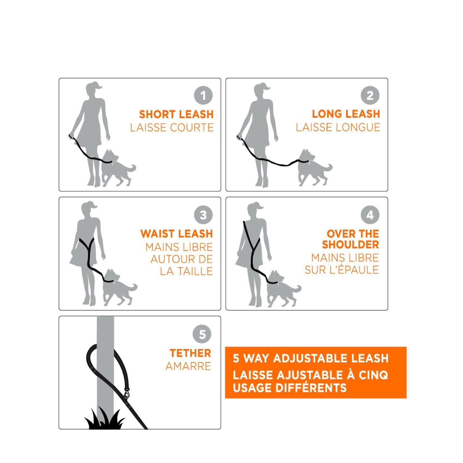 Laisse pour chien réglable en 5 directions
