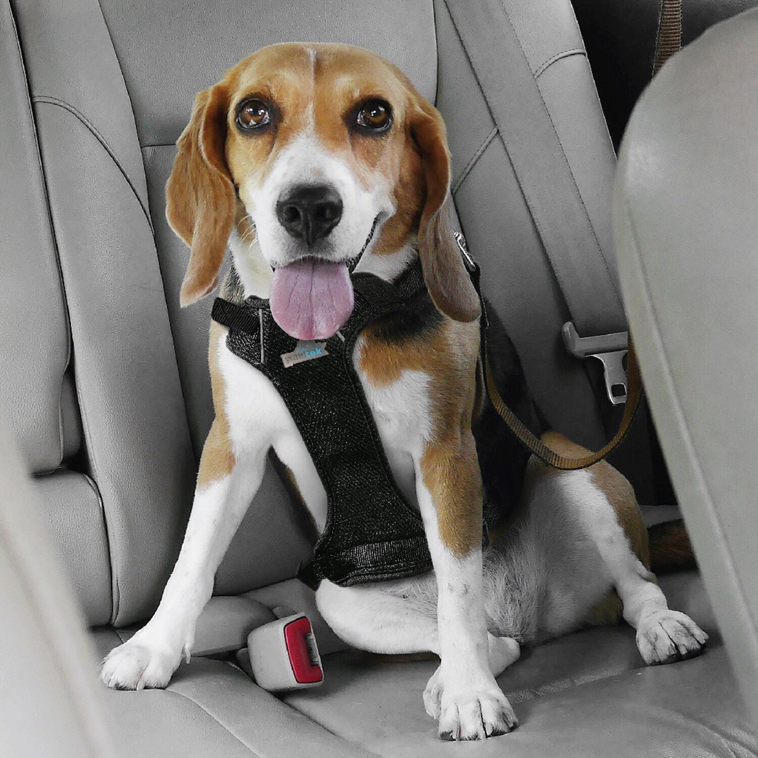 Dog Travel Harness