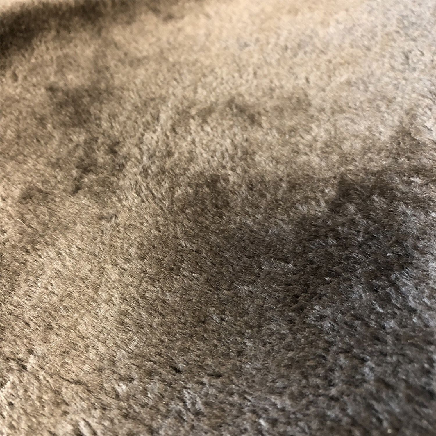 Arbre à chat à plusieurs niveaux Brisane avec griffoirs
