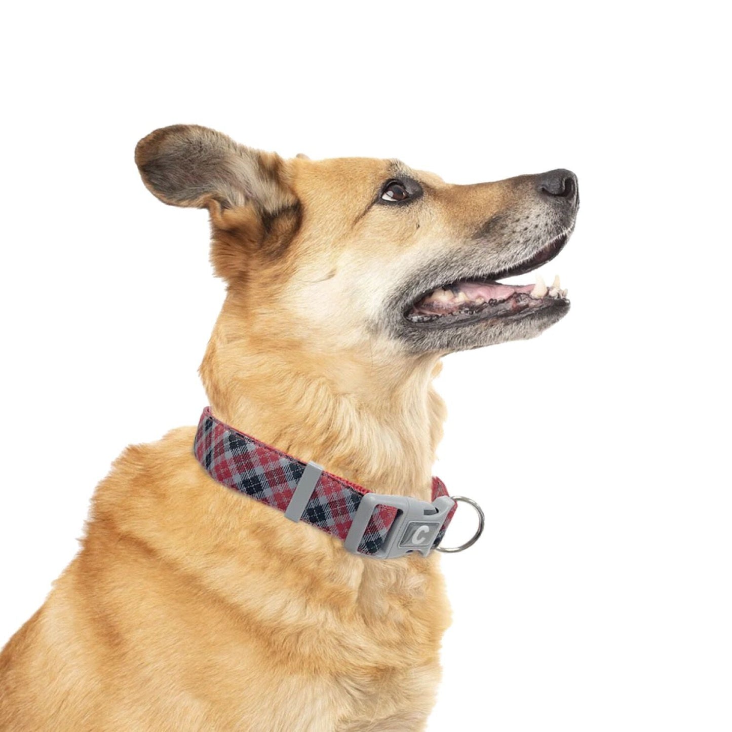 Adjustable Dog Collar, Plaid