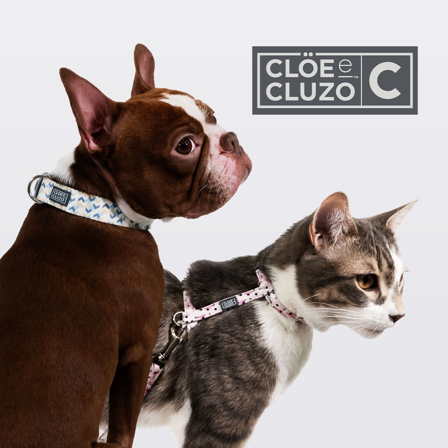 Cloe Cluzo