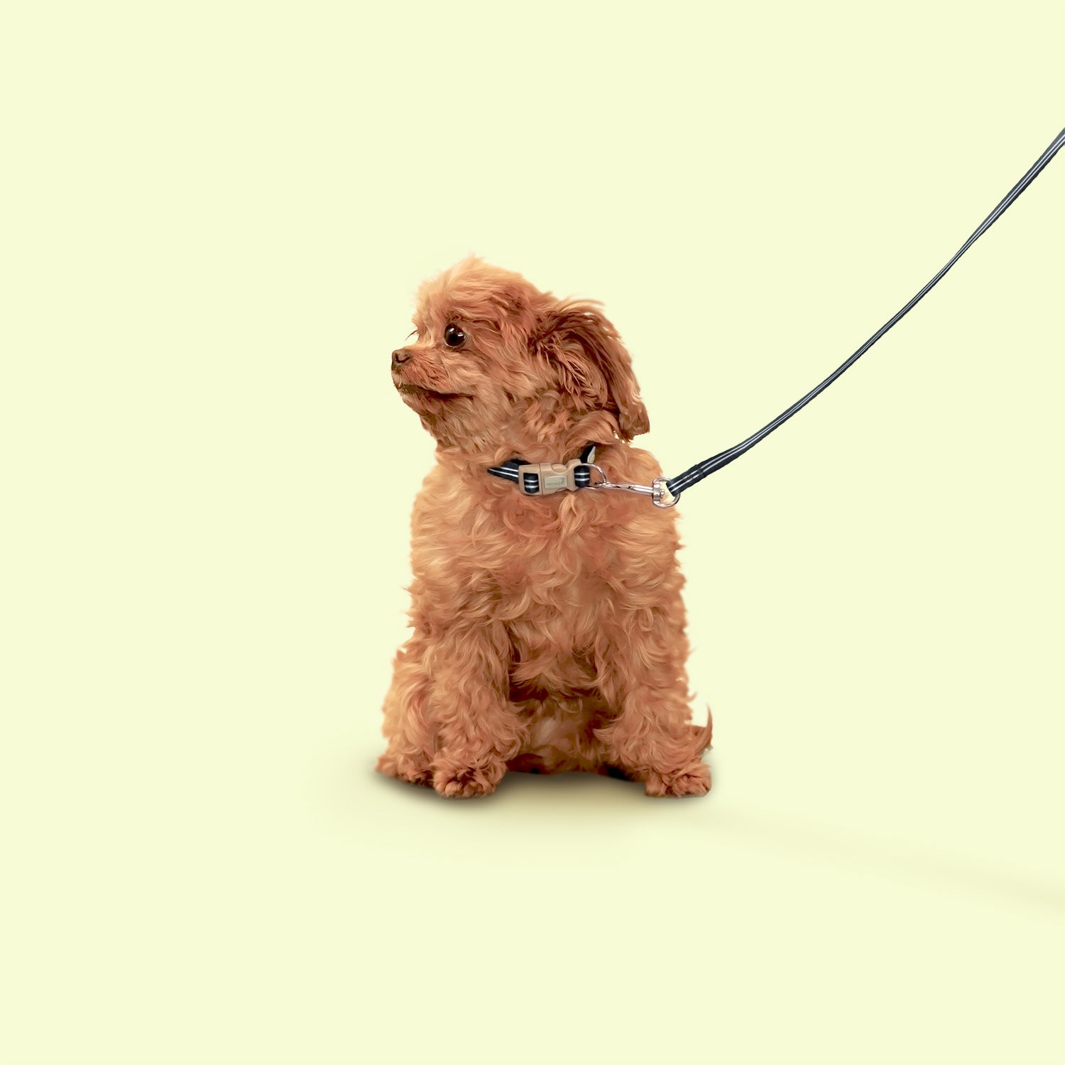 Petite Pistache Collar for Tiny Dogs