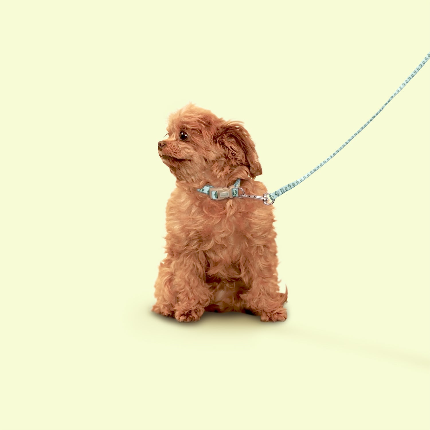 Petite Pistache Collar for Tiny Dogs