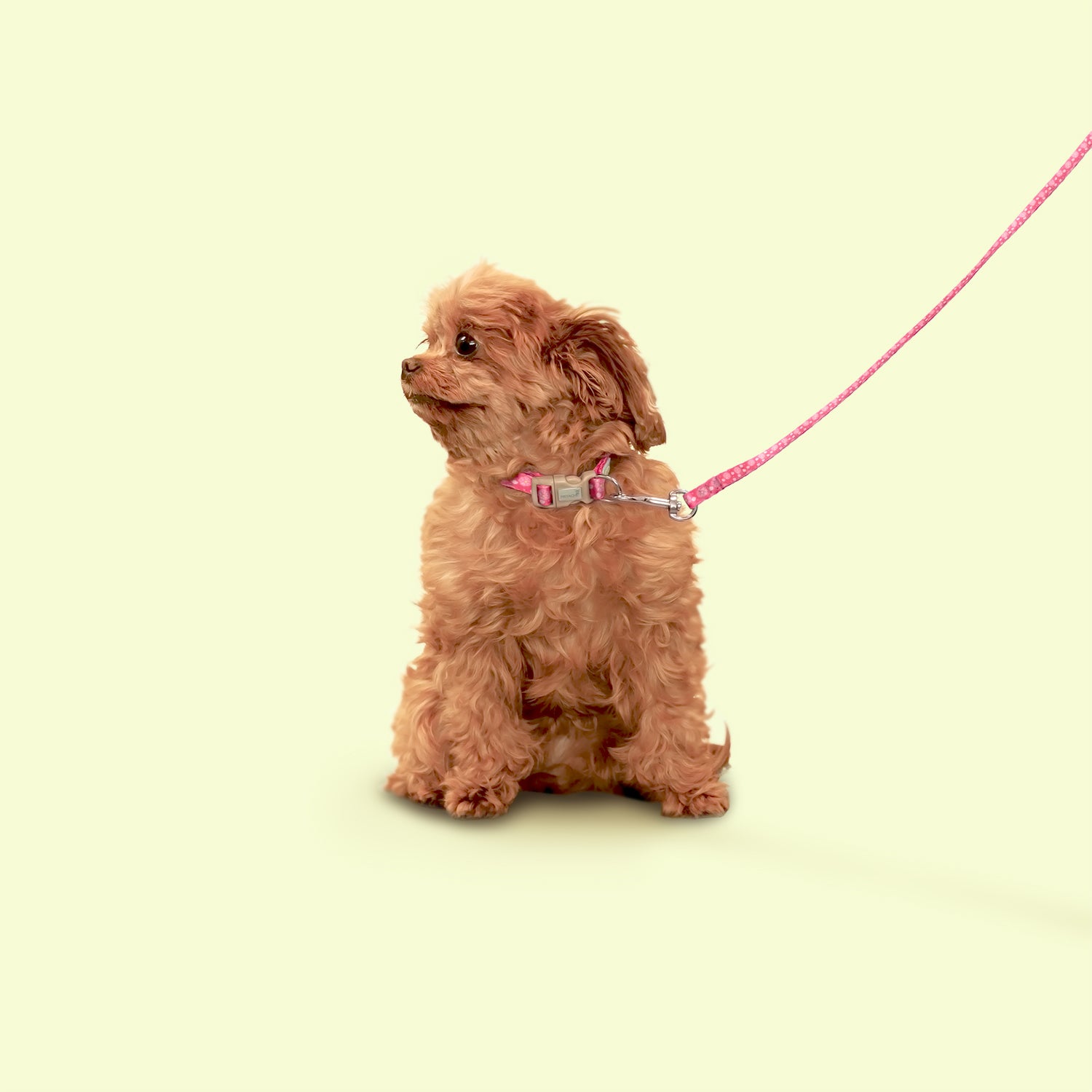 Petite Pistache Collar for Tiny Dogs