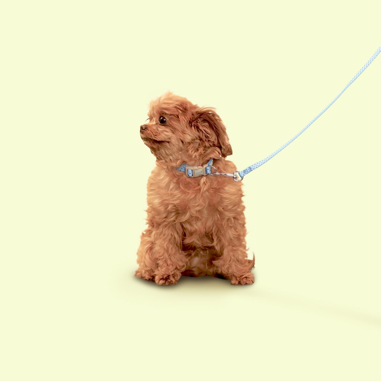 Petite Pistache Collar for Tiny Dogs