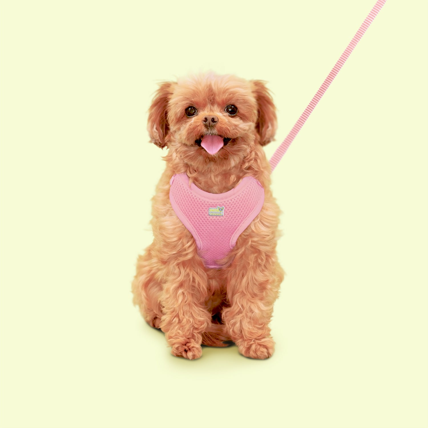 Petite Pistache Mesh Harness for Very Small Dogs