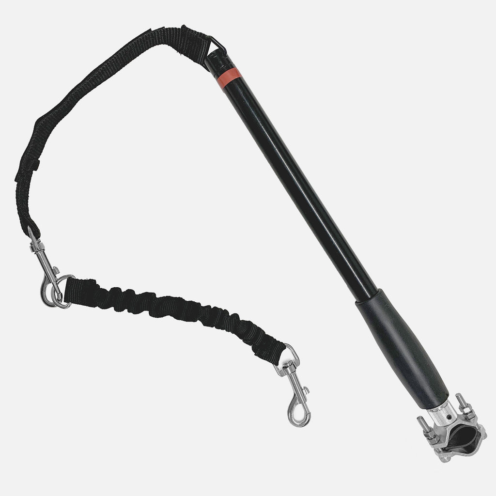 Bike Bungee Leash