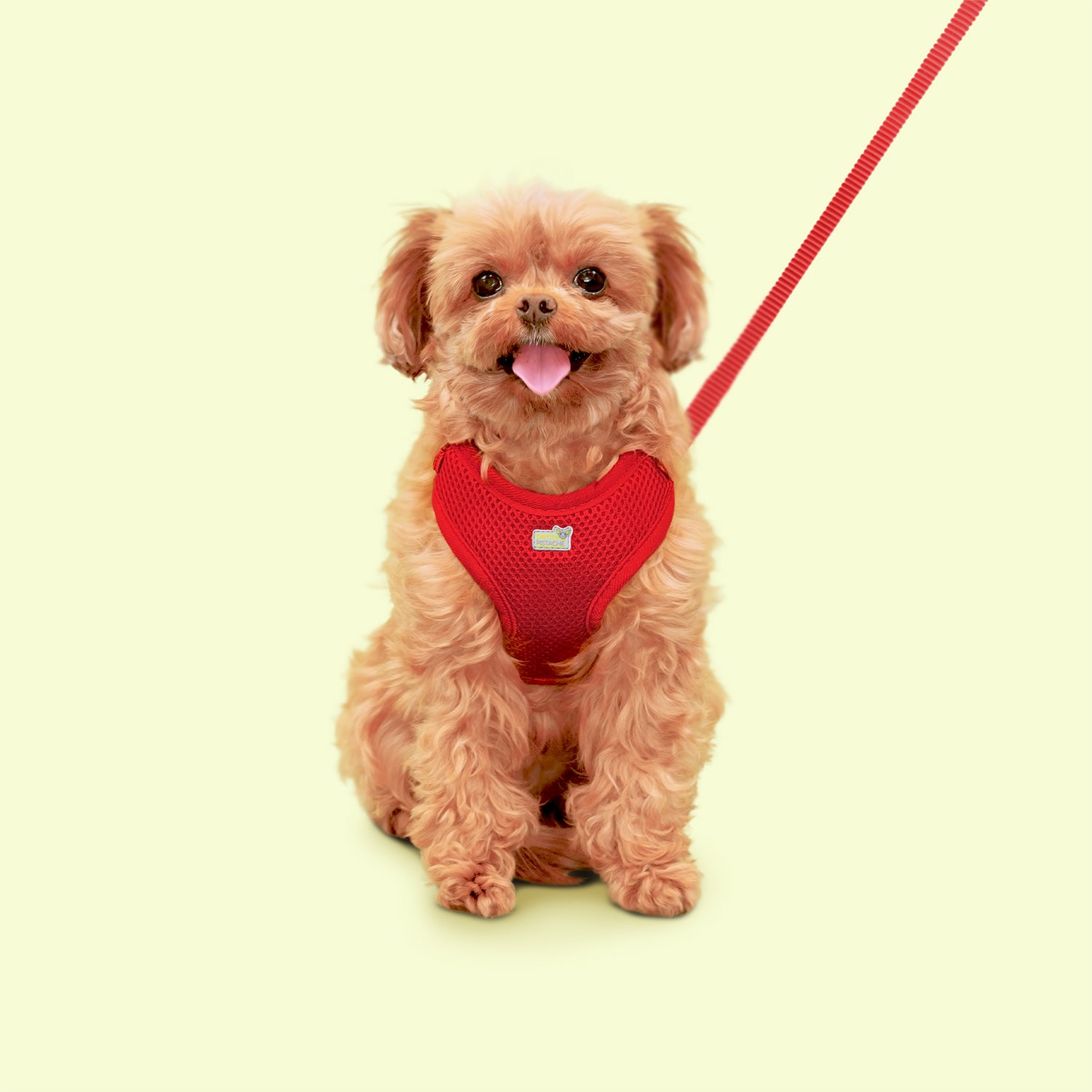 Petite Pistache Mesh Harness for Very Small Dogs