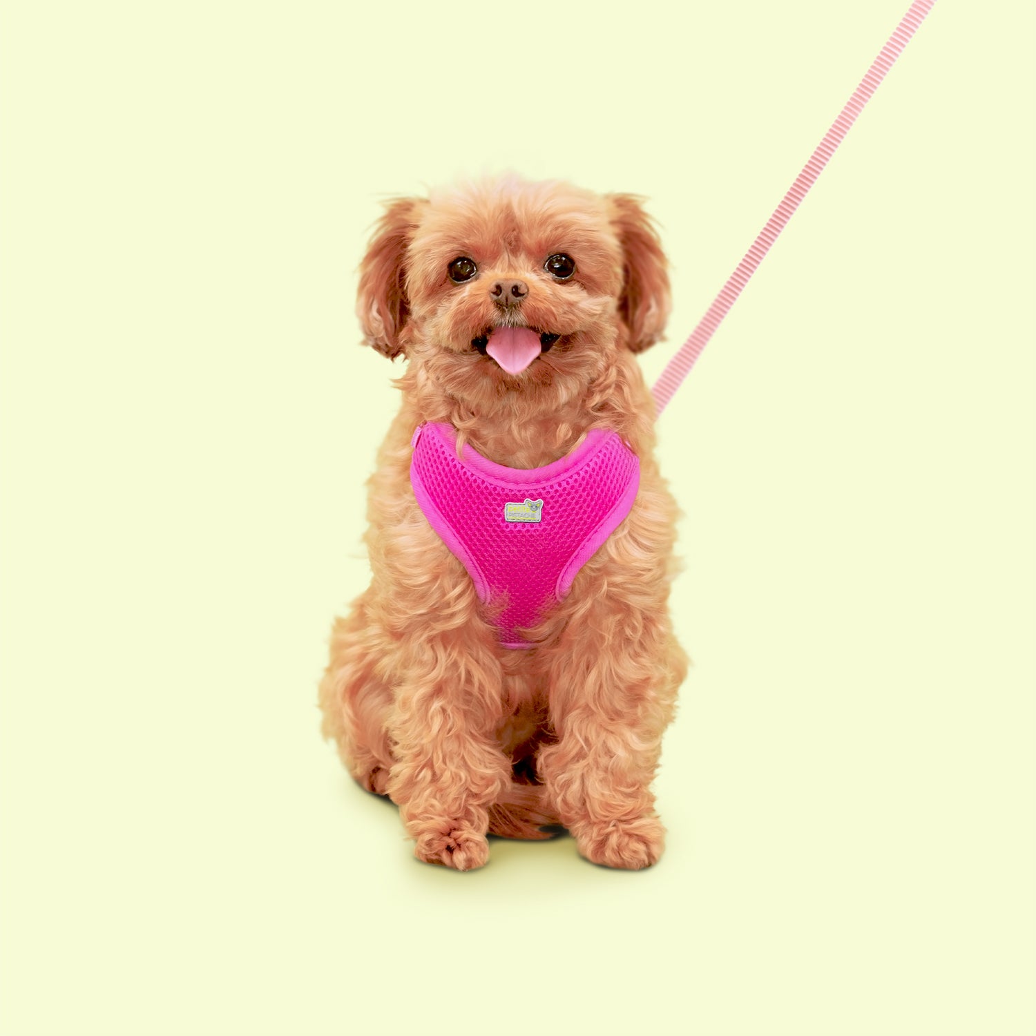 Petite Pistache Mesh Harness for Very Small Dogs