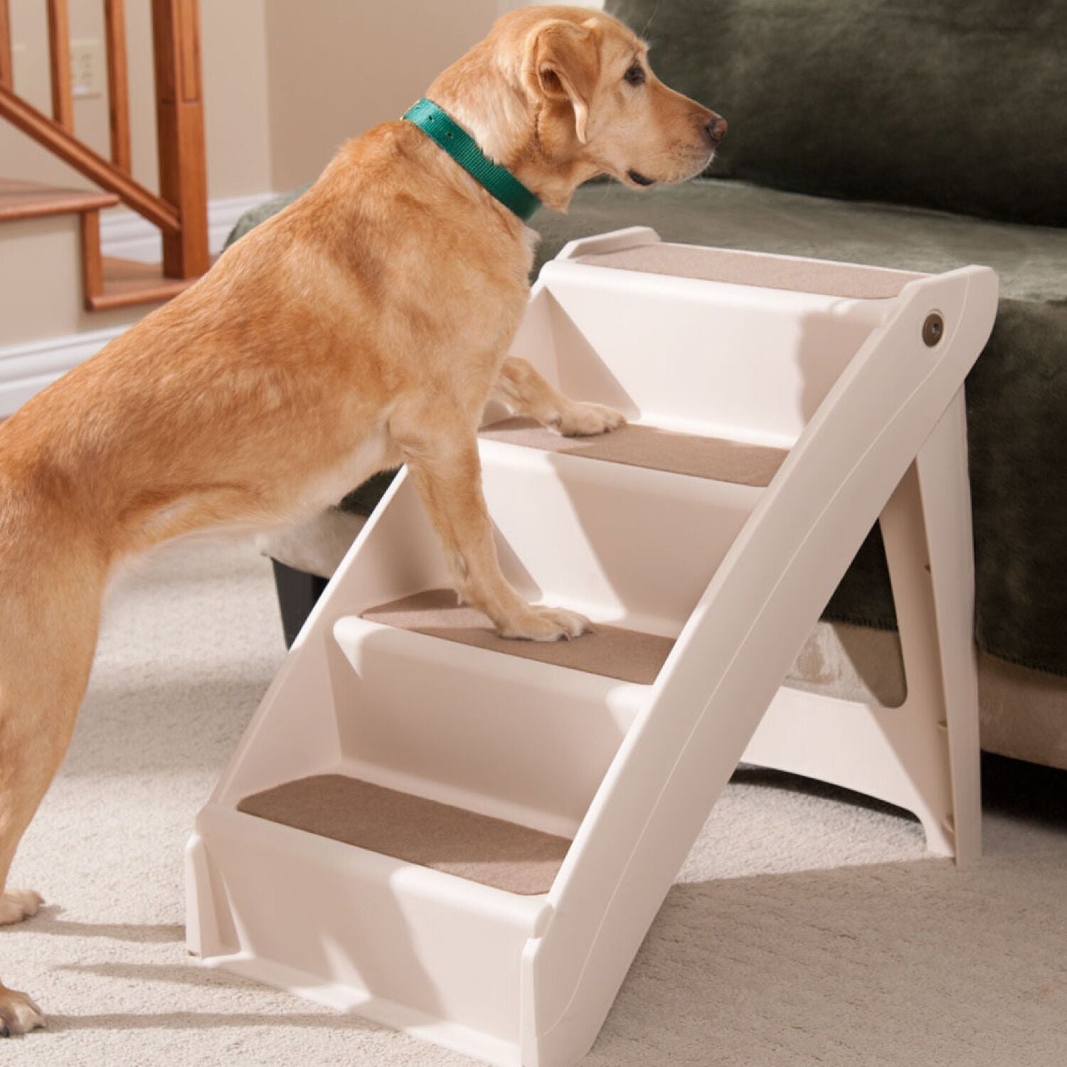 Escaliers pour animaux de compagnie à quatre marches