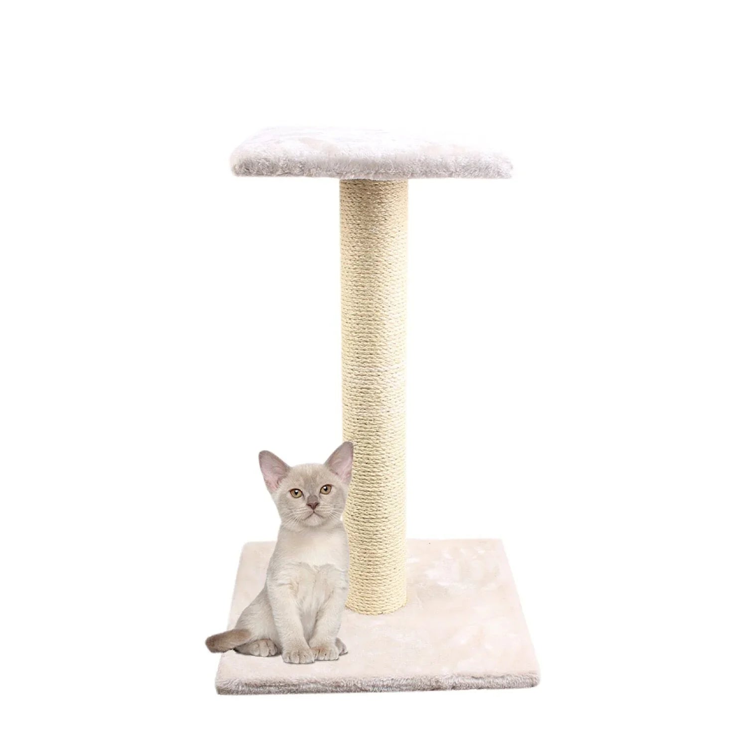 Iceland Single Tier Scratching Post