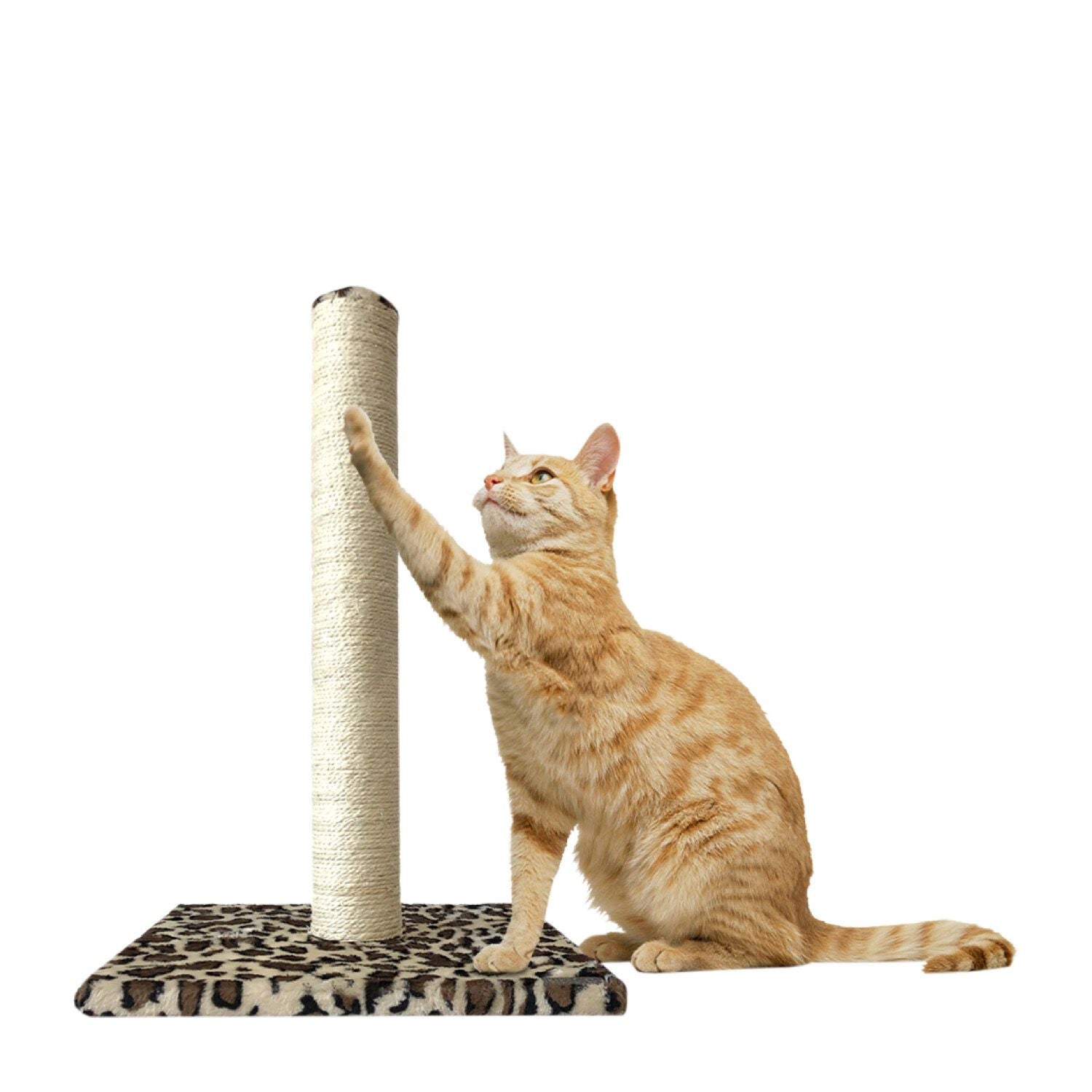 Madrid Scratching Post